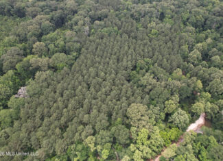 44 Acre Hunting Land in Wilkinson County, MS