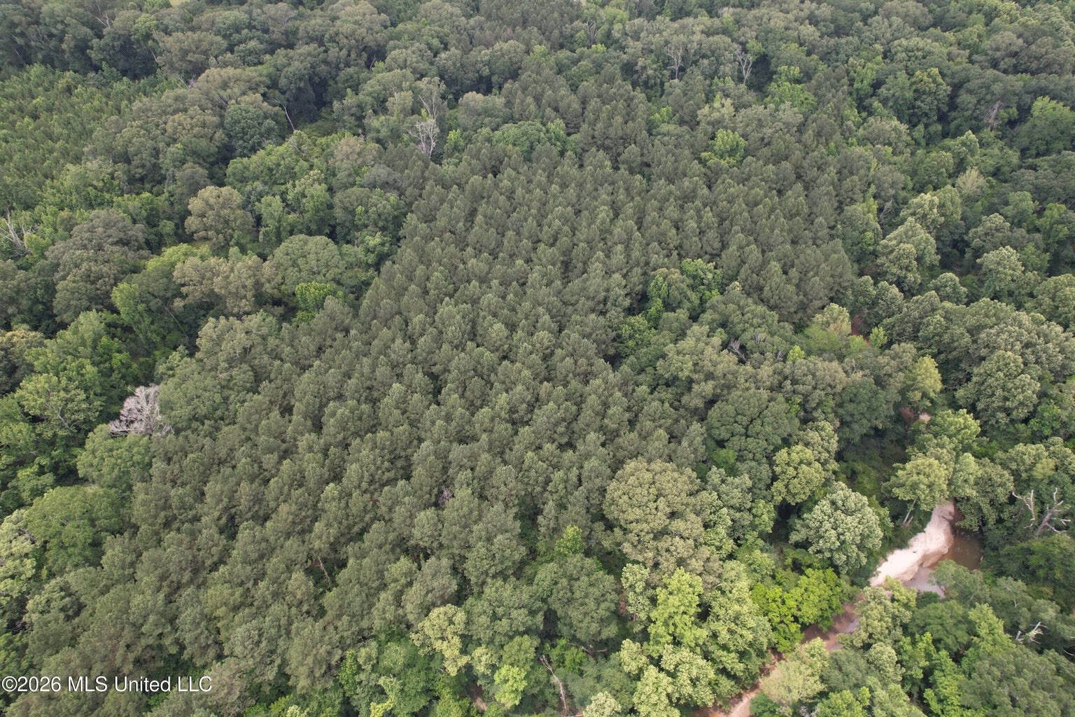 44 Acre Hunting Land in Wilkinson County, MS