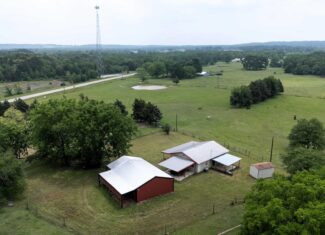 47.79-Acre Hunting Land with Cabin for Sale Ben Wheeler TX