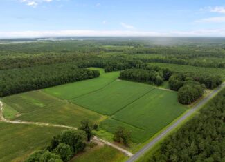 56 Acres Farmland & Timber with Hunting in NC