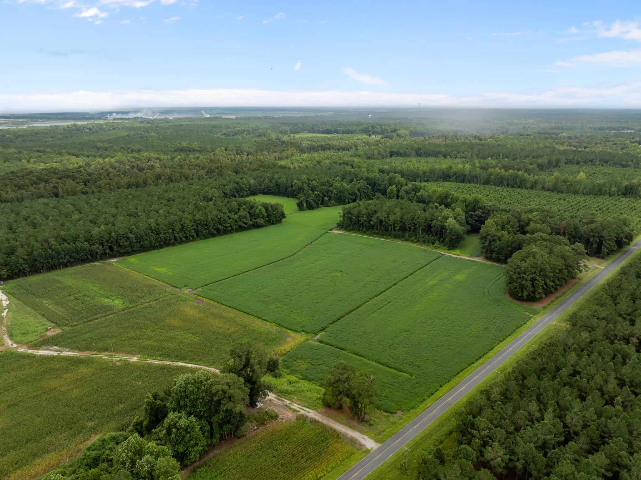56 Acres Farmland & Timber with Hunting in NC