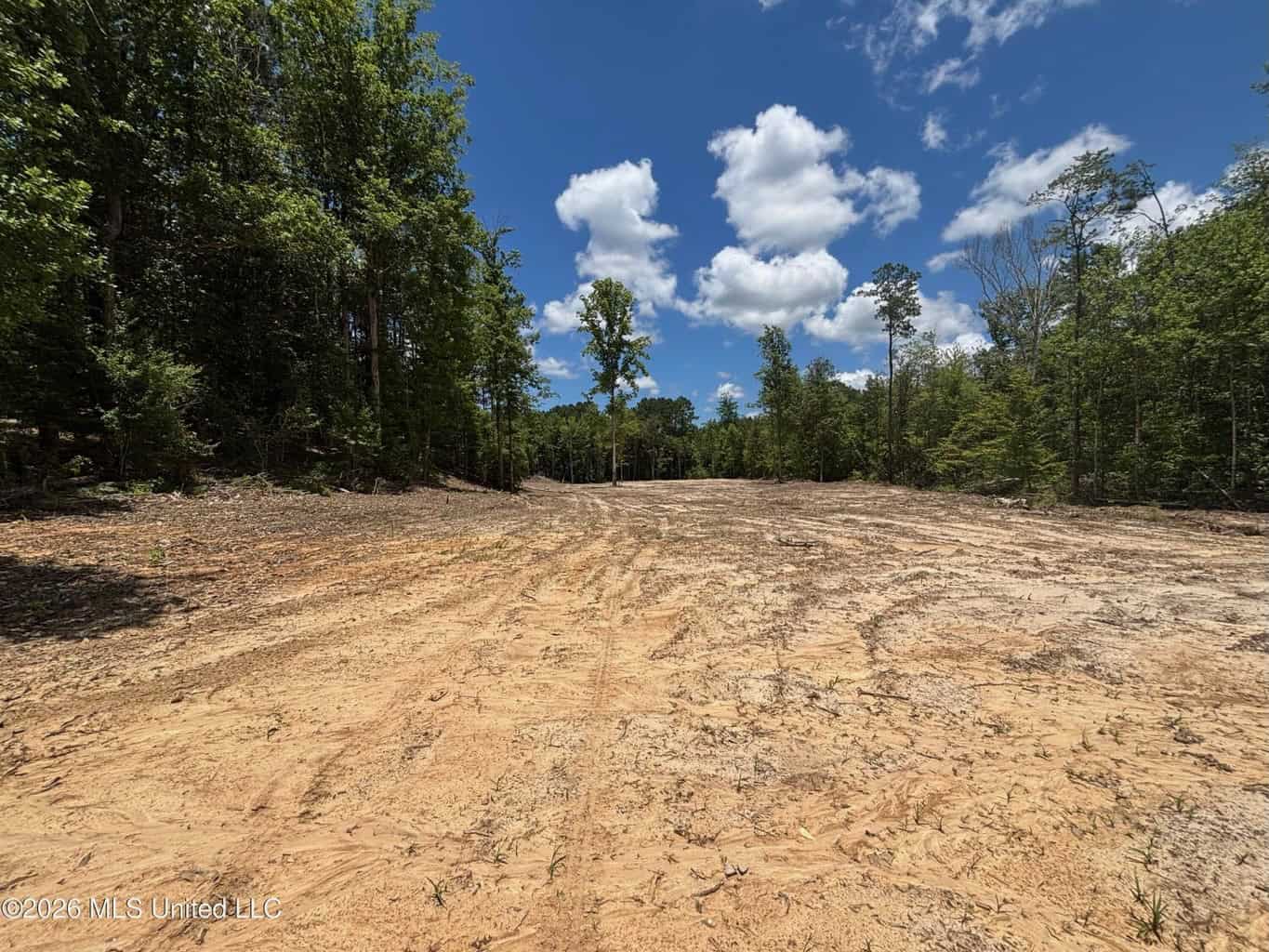 Wilkinson County MS Hunting Land for Sale