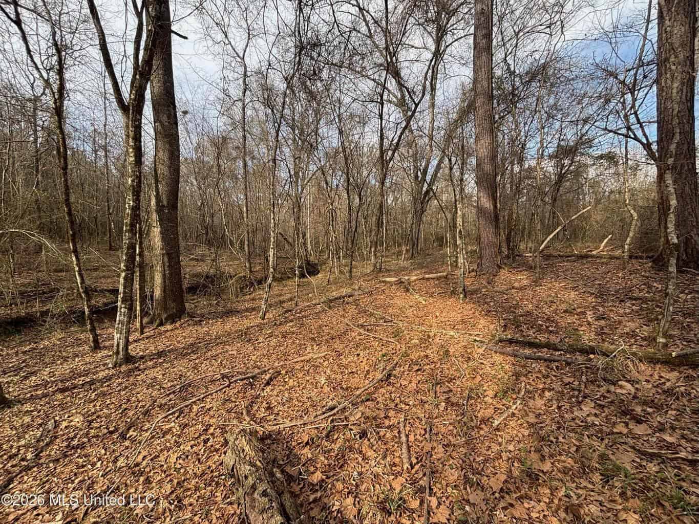 Hazlehurst MS Hunting Land for Sale
