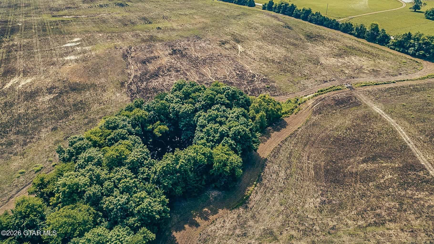 527 Acres Black Belt Prairie Clay County MS