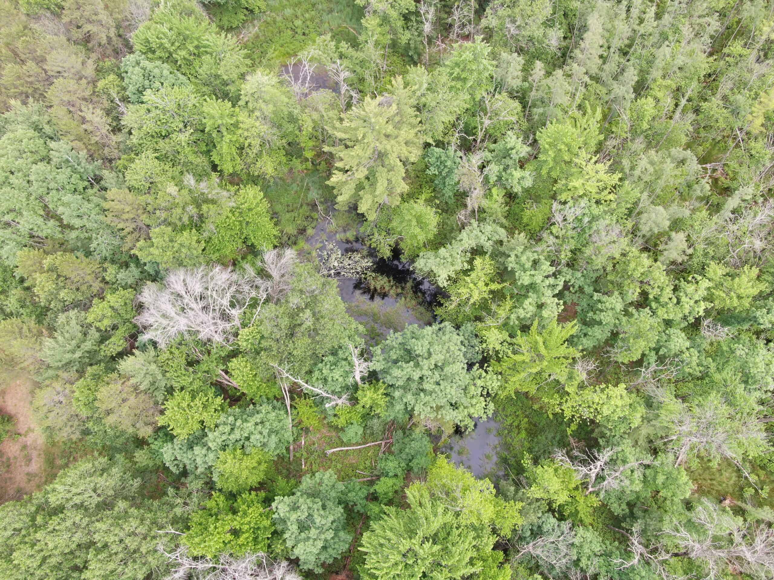 Forty acres in Adams County located in the Town of Strongs Prairie
