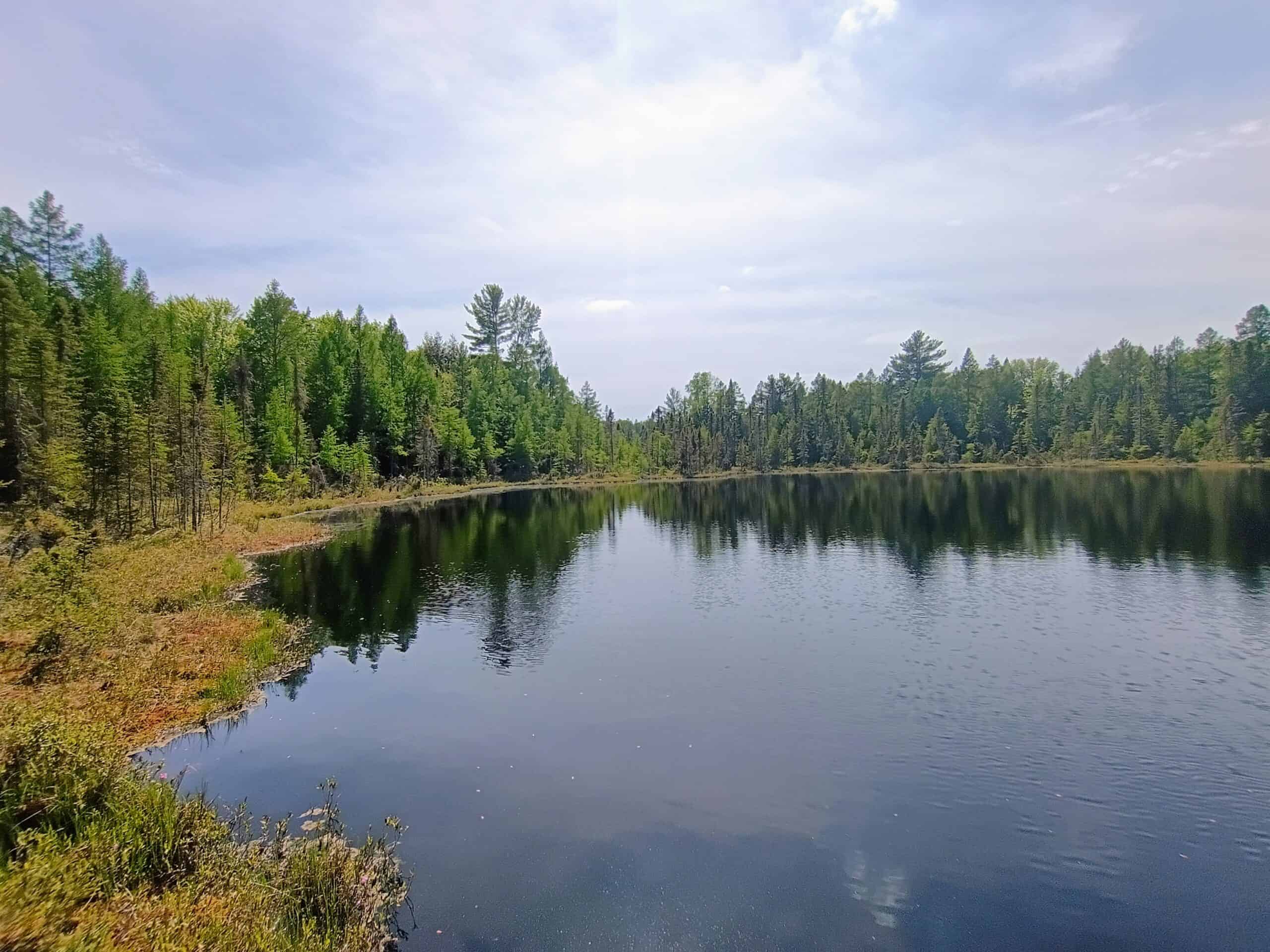 274 ± Acre Luxury Ranch & Hunting Estate | Butternut, WI