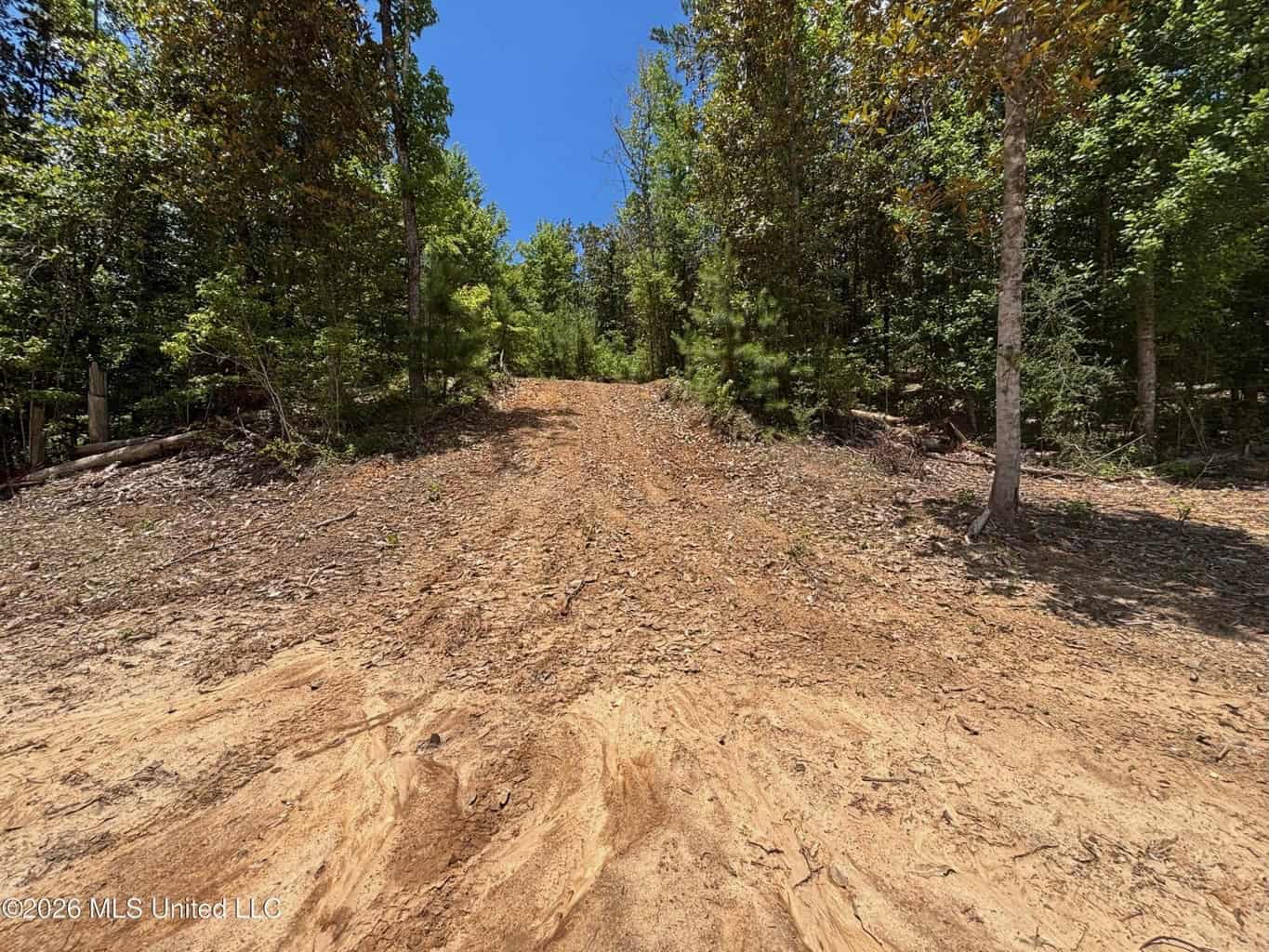 Wilkinson County MS Hunting Land for Sale