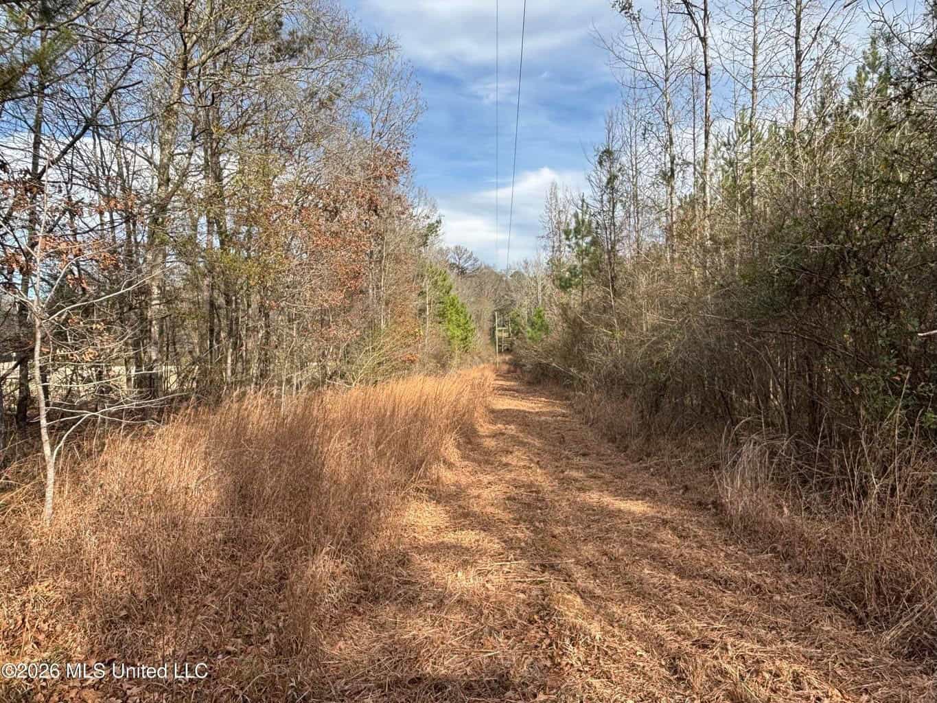 Hazlehurst MS Hunting Land for Sale