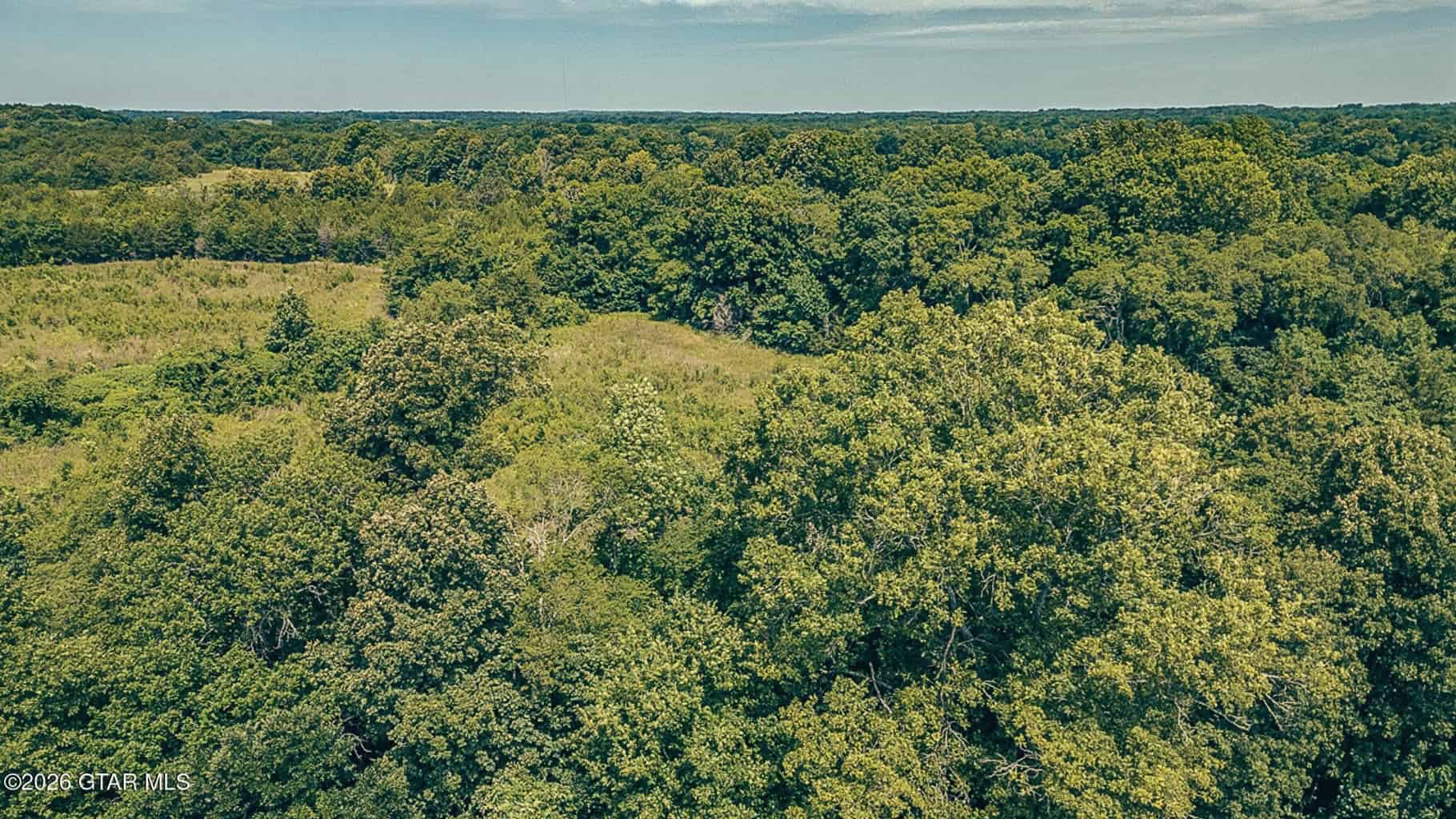 527 Acres Black Belt Prairie Clay County MS