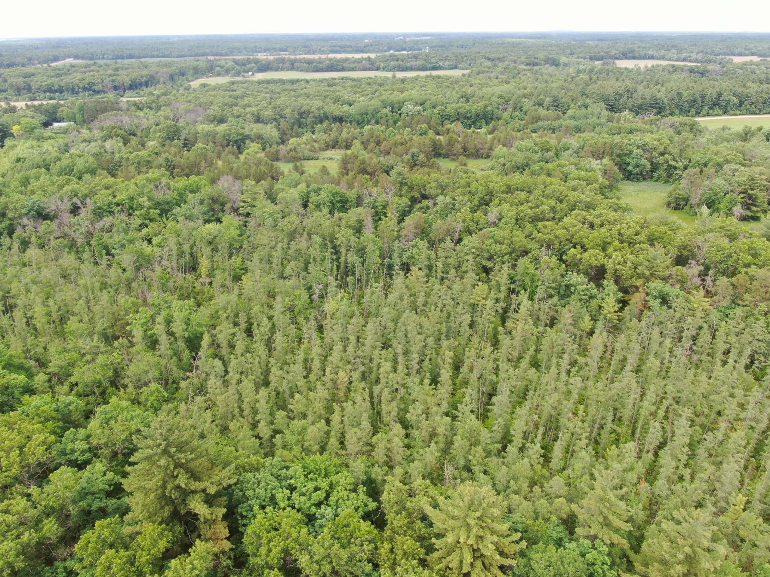 Forty acres in Adams County located in the Town of Strongs Prairie