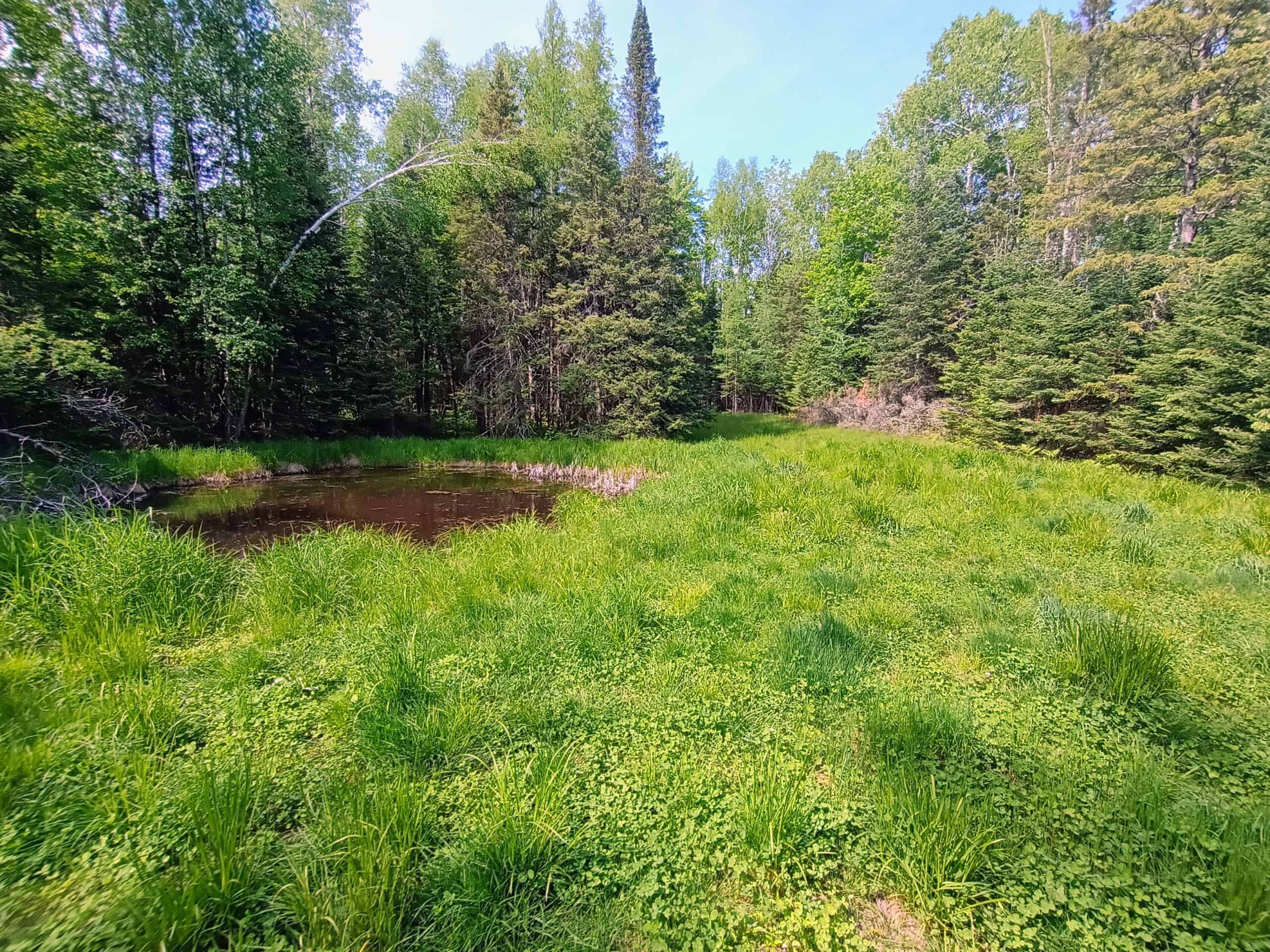 274 ± Acre Luxury Ranch & Hunting Estate | Butternut, WI