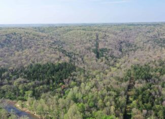 Land for Sale in the Missouri Ozark Mountains