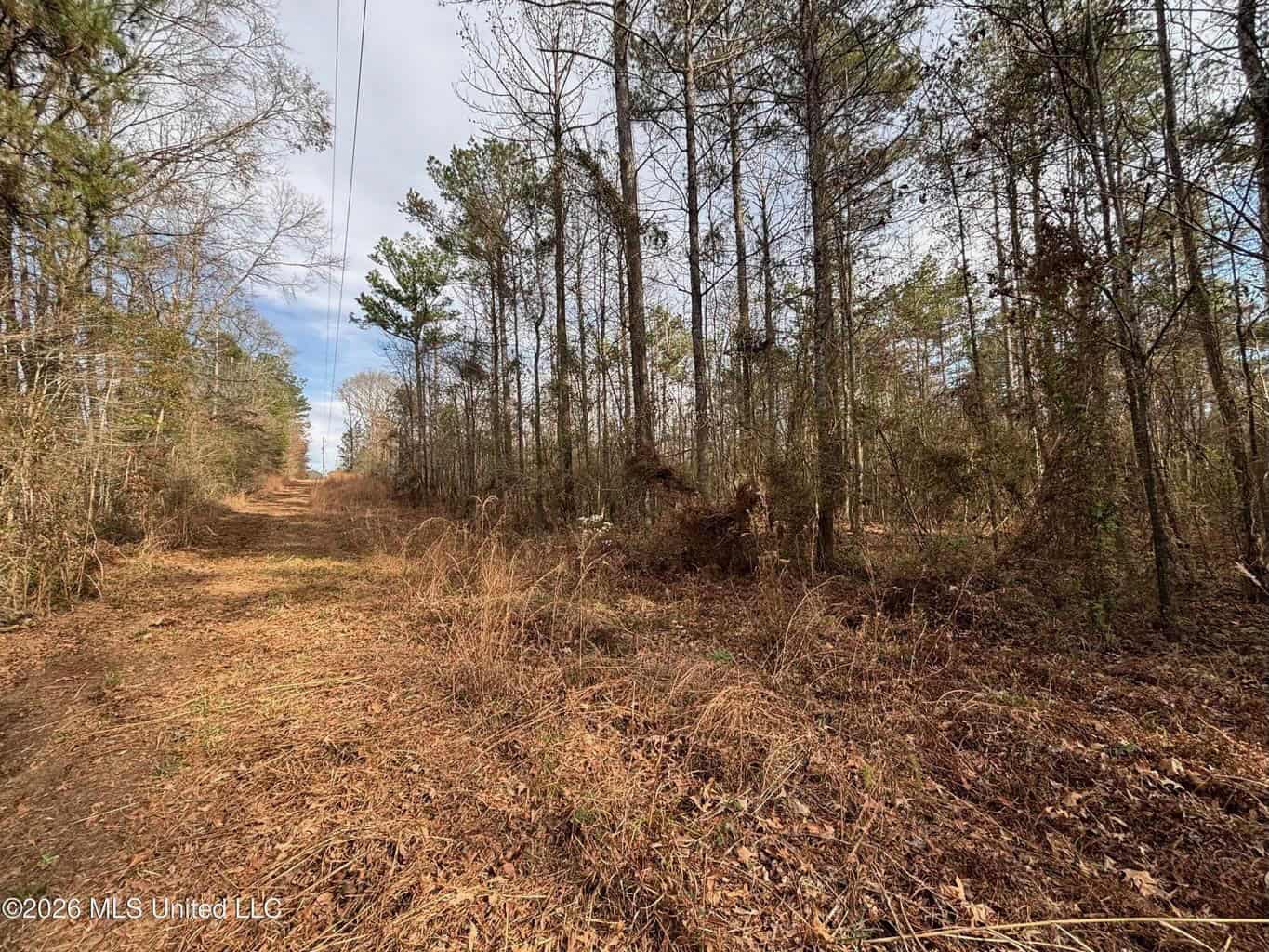 Hazlehurst MS Hunting Land for Sale