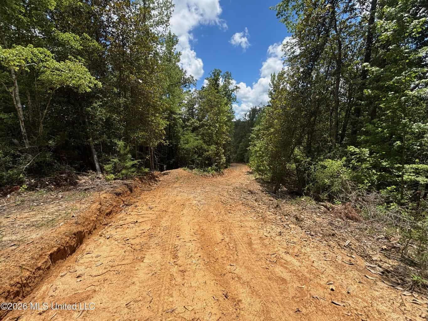 Wilkinson County MS Hunting Land for Sale