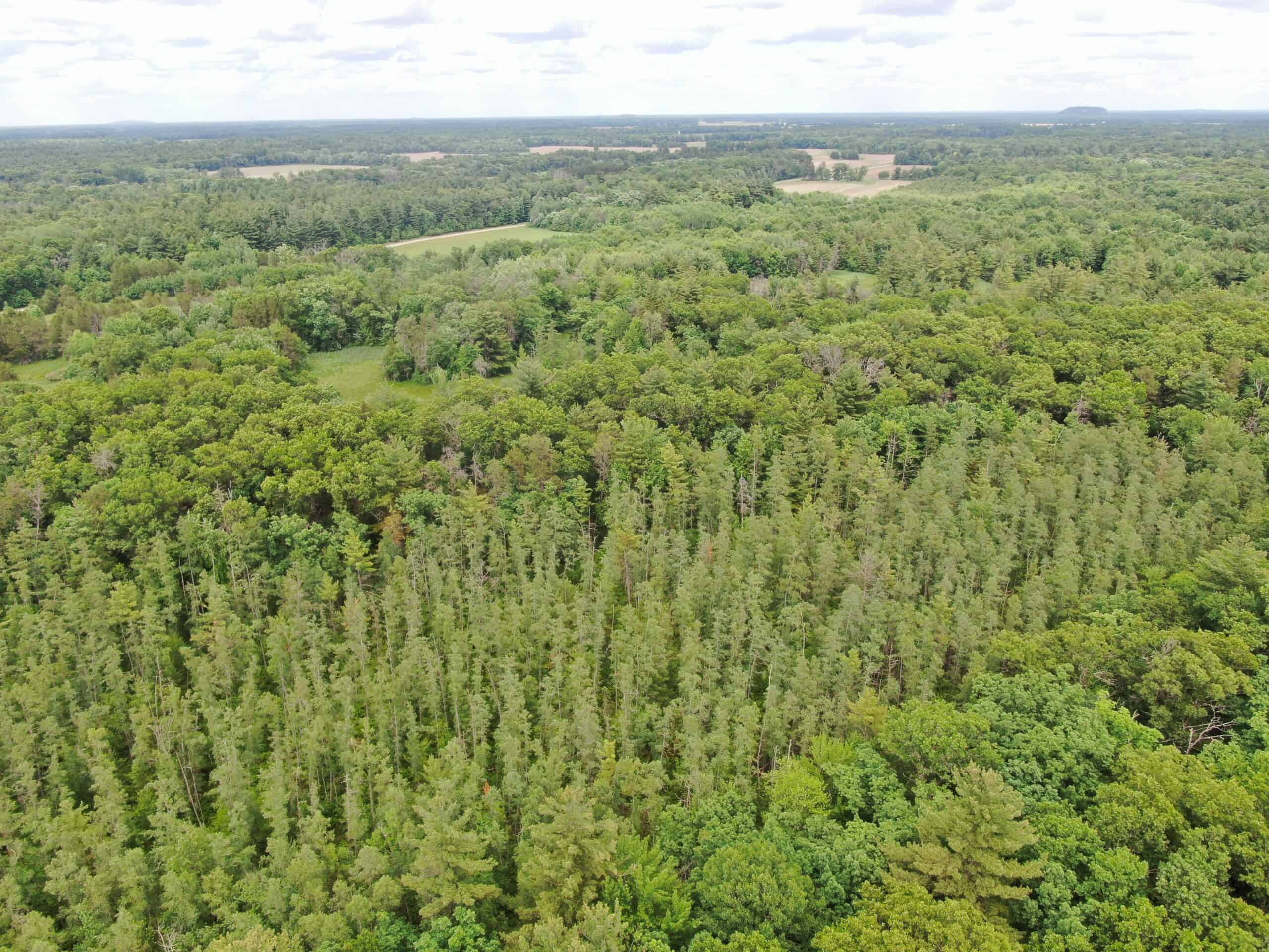 Forty acres in Adams County located in the Town of Strongs Prairie