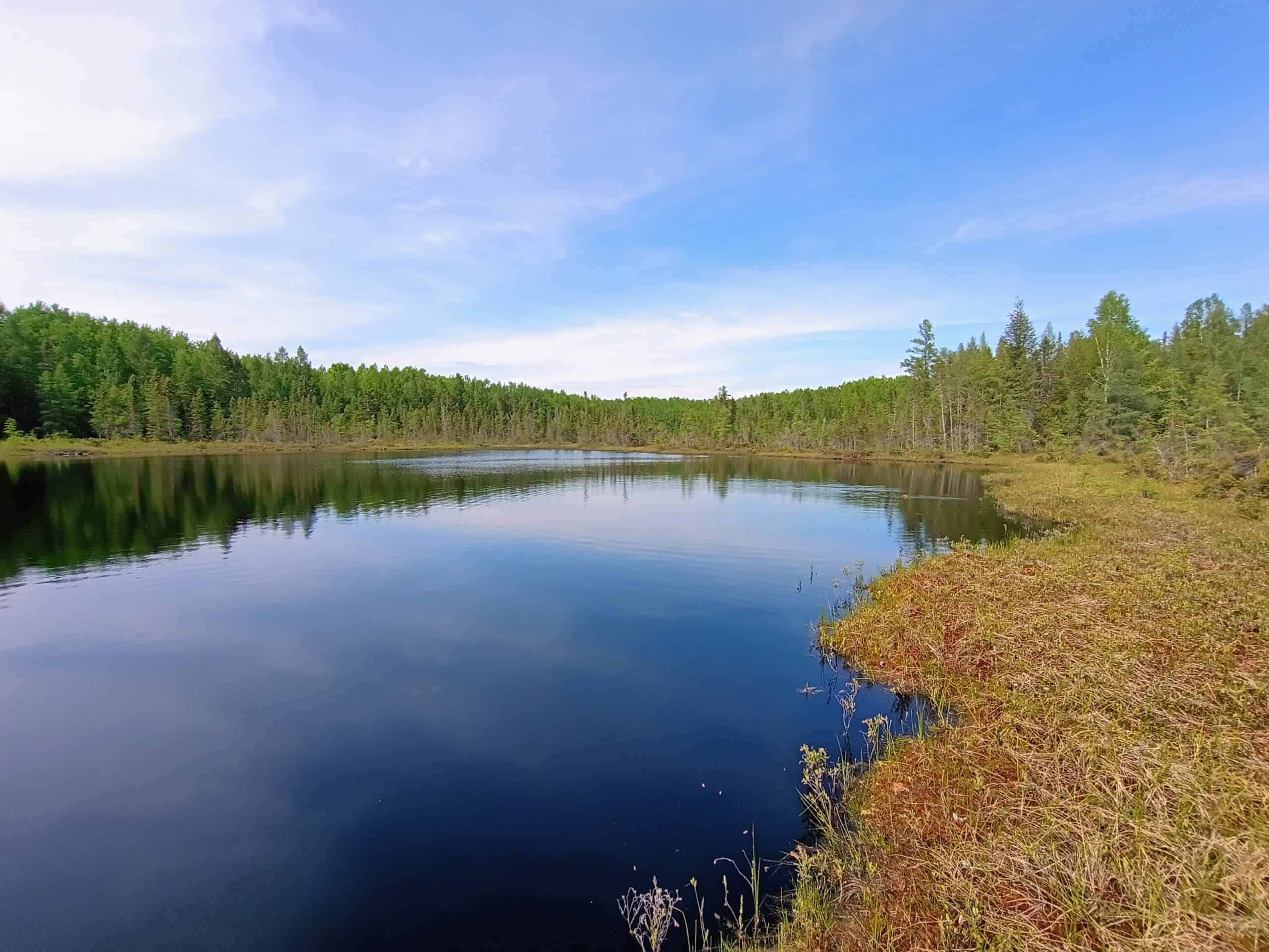 274 ± Acre Luxury Ranch & Hunting Estate | Butternut, WI