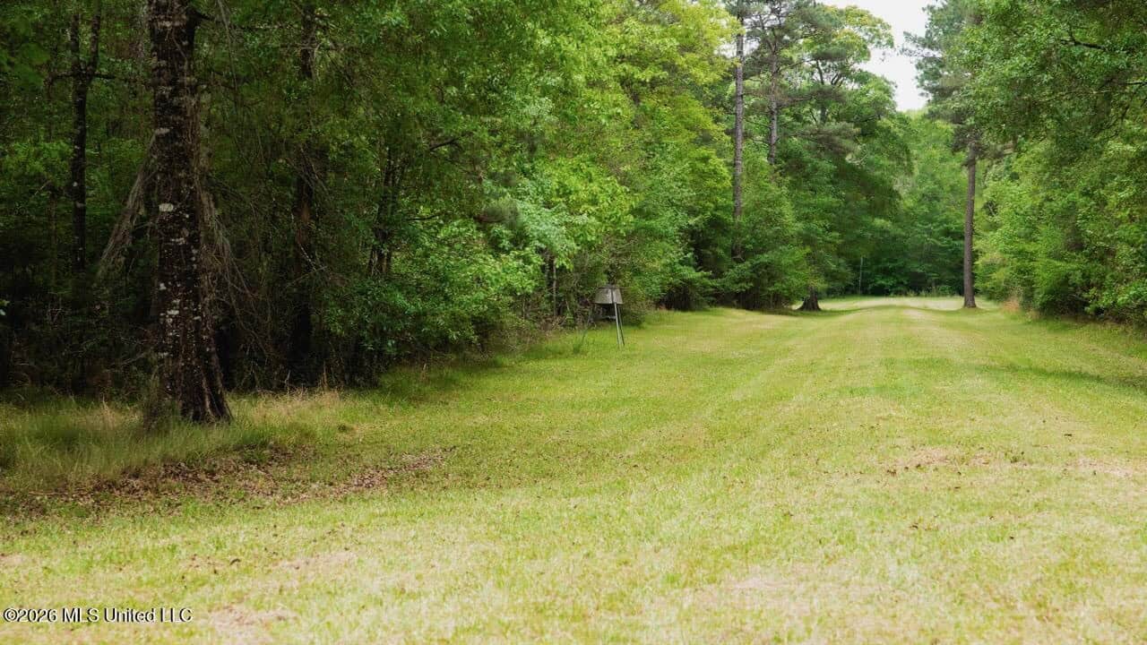 Paradise Whitetails in Oakdale, LA – 1,116± Acres