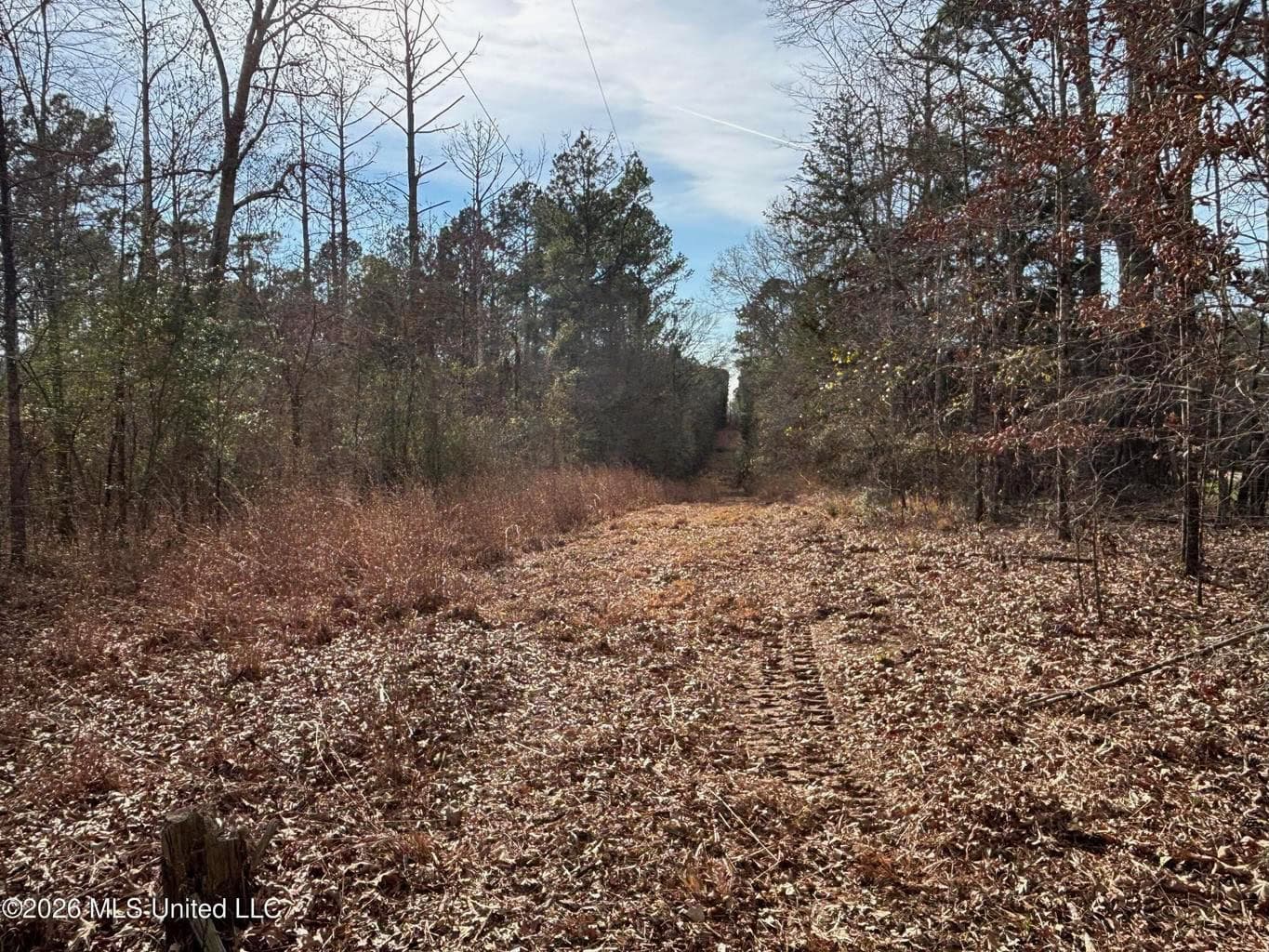 Hazlehurst MS Hunting Land for Sale
