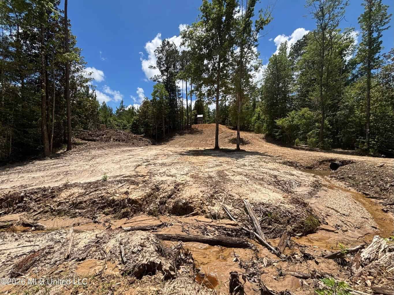Wilkinson County MS Hunting Land for Sale