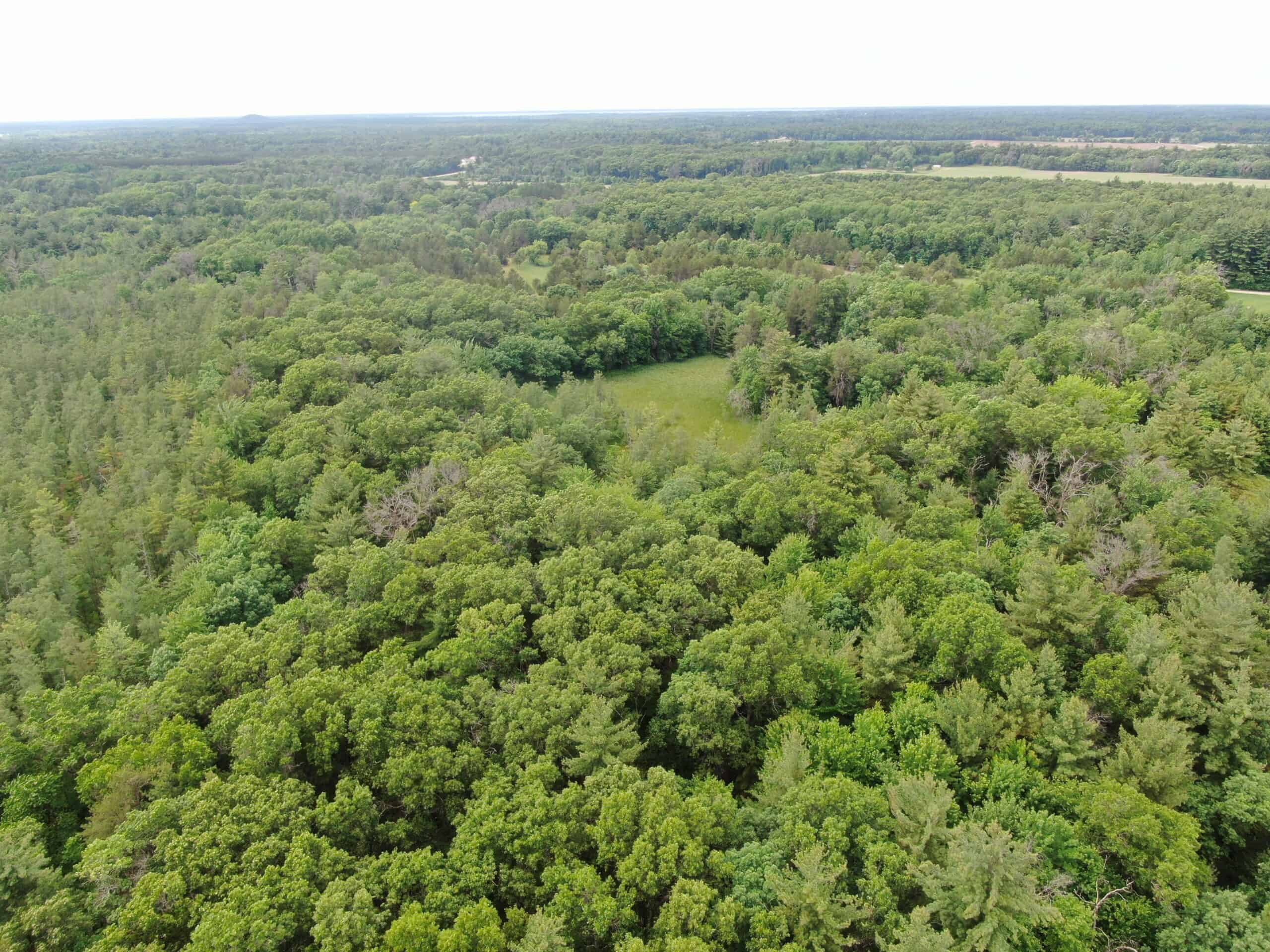 Forty acres in Adams County located in the Town of Strongs Prairie