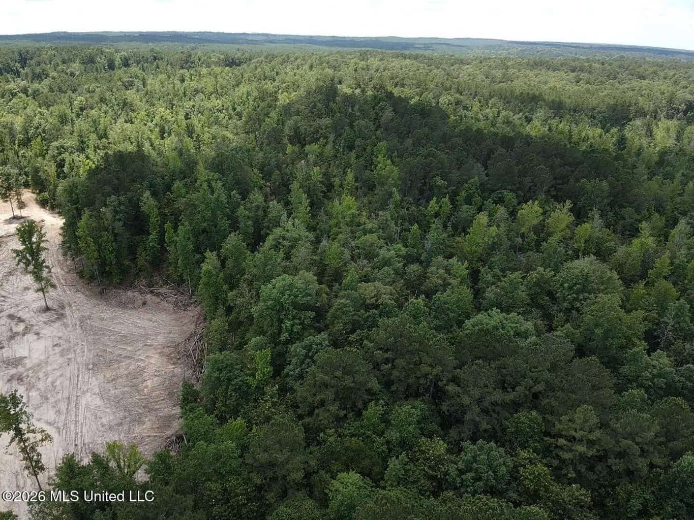 Wilkinson County MS Hunting Land for Sale