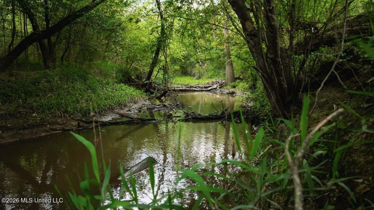 Paradise Whitetails in Oakdale, LA – 1,116± Acres