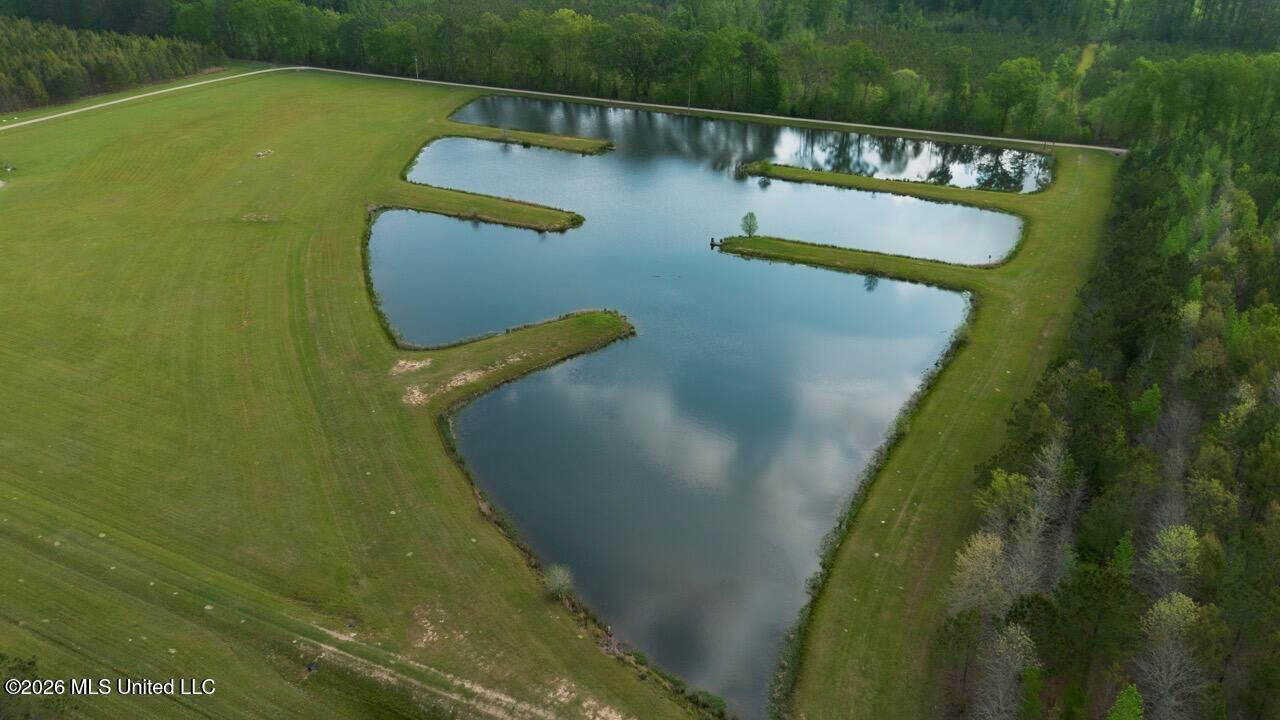 958± Acre High-Fence Ranch in Oakdale, Louisiana