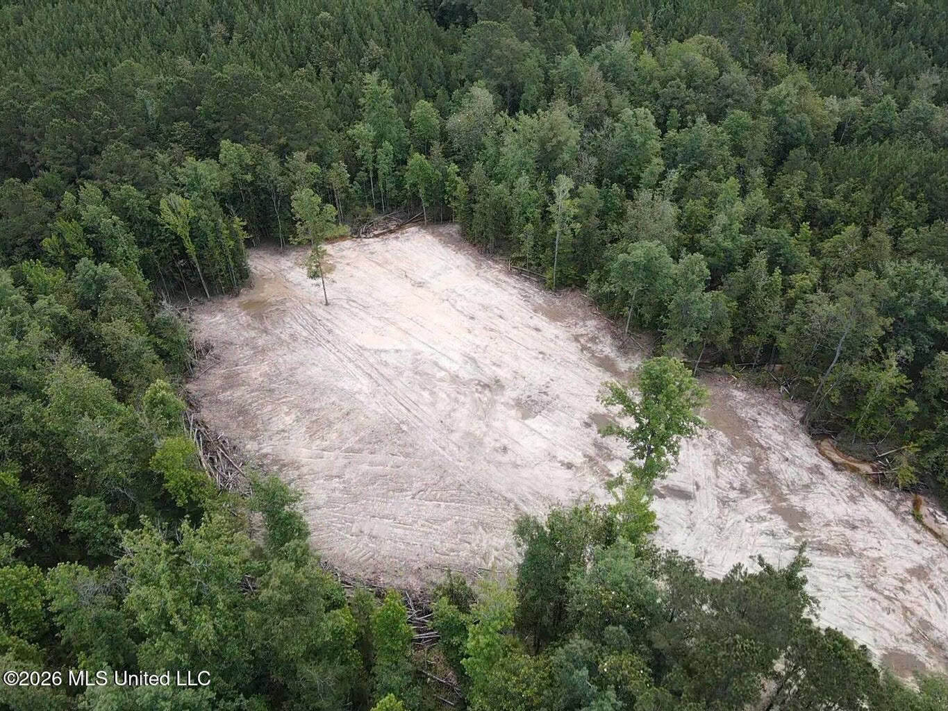 Wilkinson County MS Hunting Land for Sale