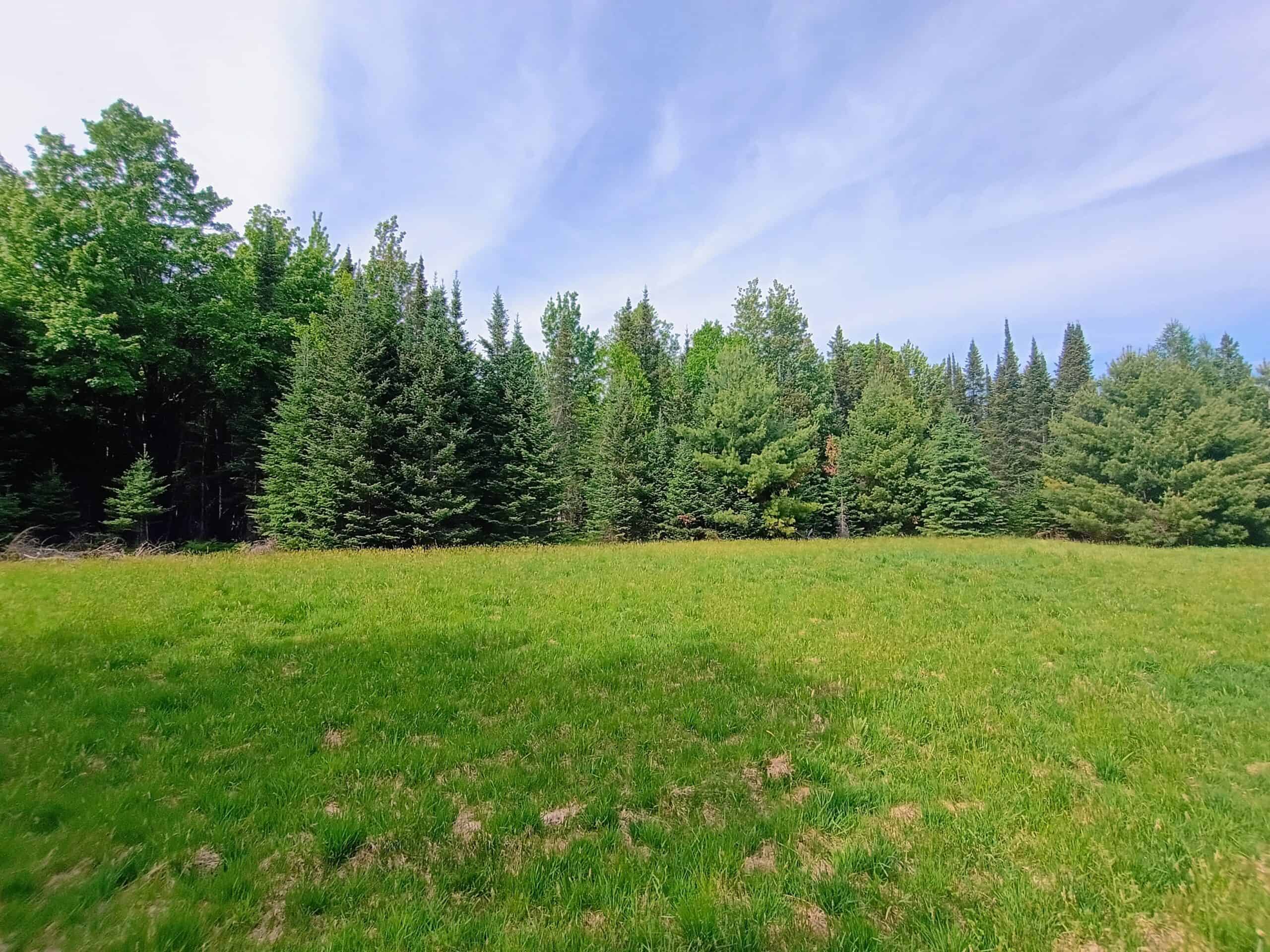 274 ± Acre Luxury Ranch & Hunting Estate | Butternut, WI