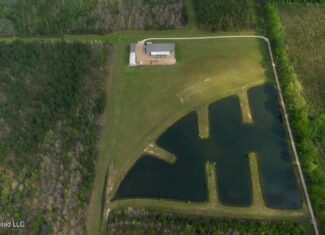 958± Acre High-Fence Ranch in Oakdale, Louisiana
