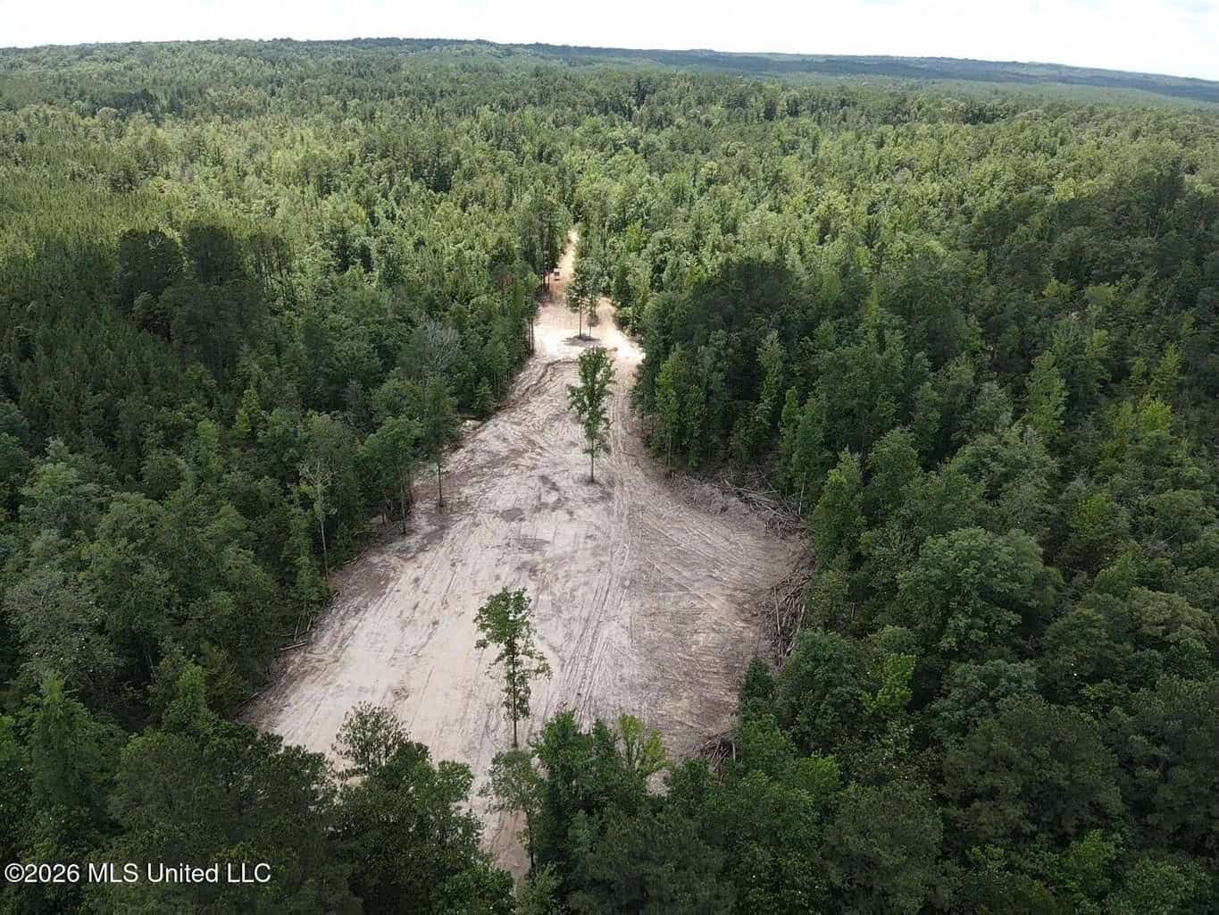Wilkinson County MS Hunting Land for Sale