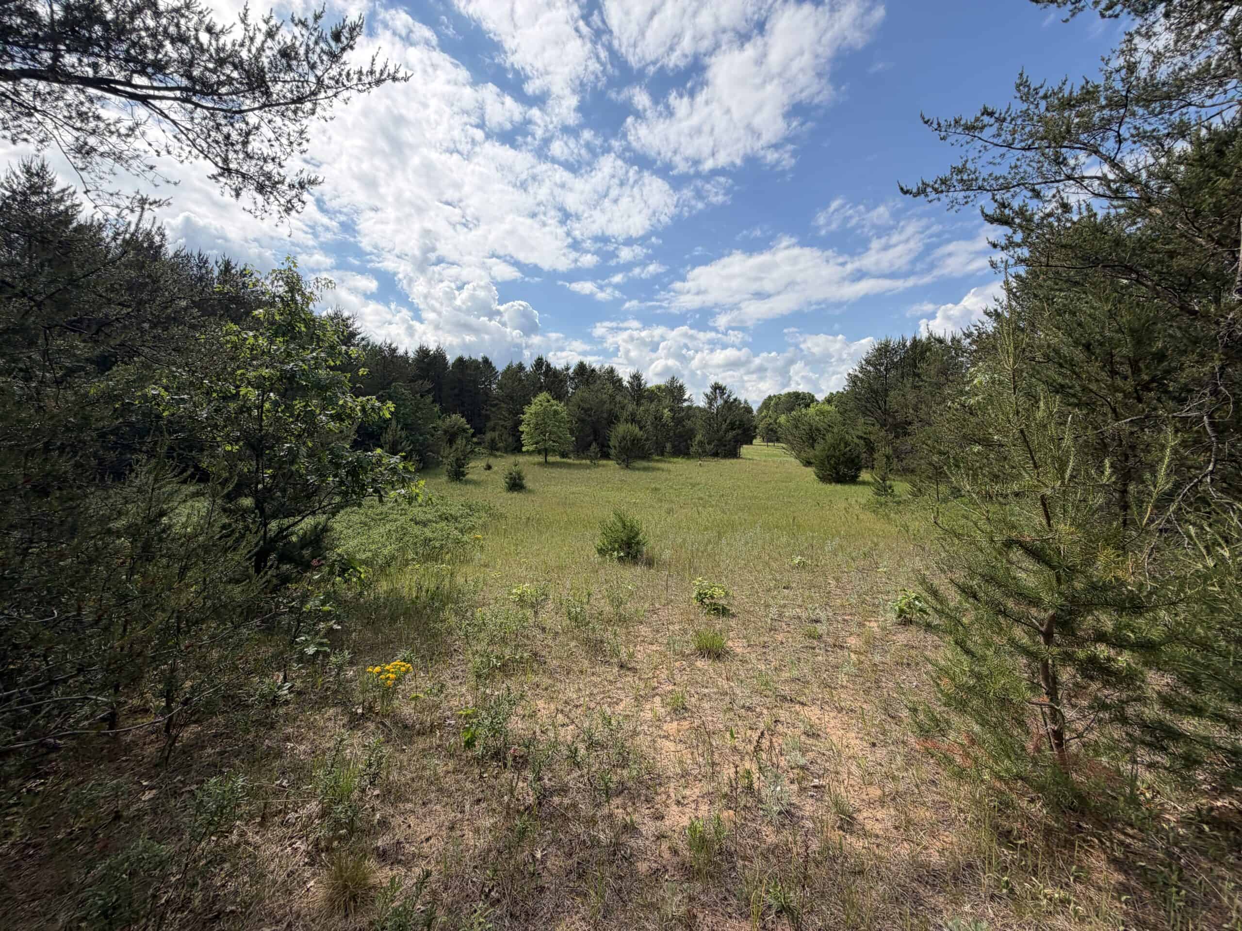 Forty acres in Adams County located in the Town of Strongs Prairie