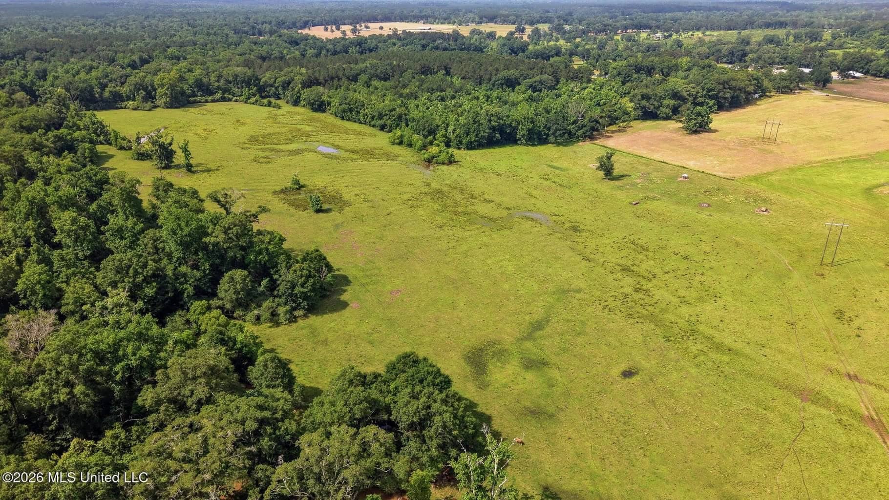 Gillsburg MS Farmhouse Estate on 99 Acres