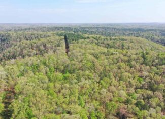Land for Sale in the Missouri Ozark Mountains