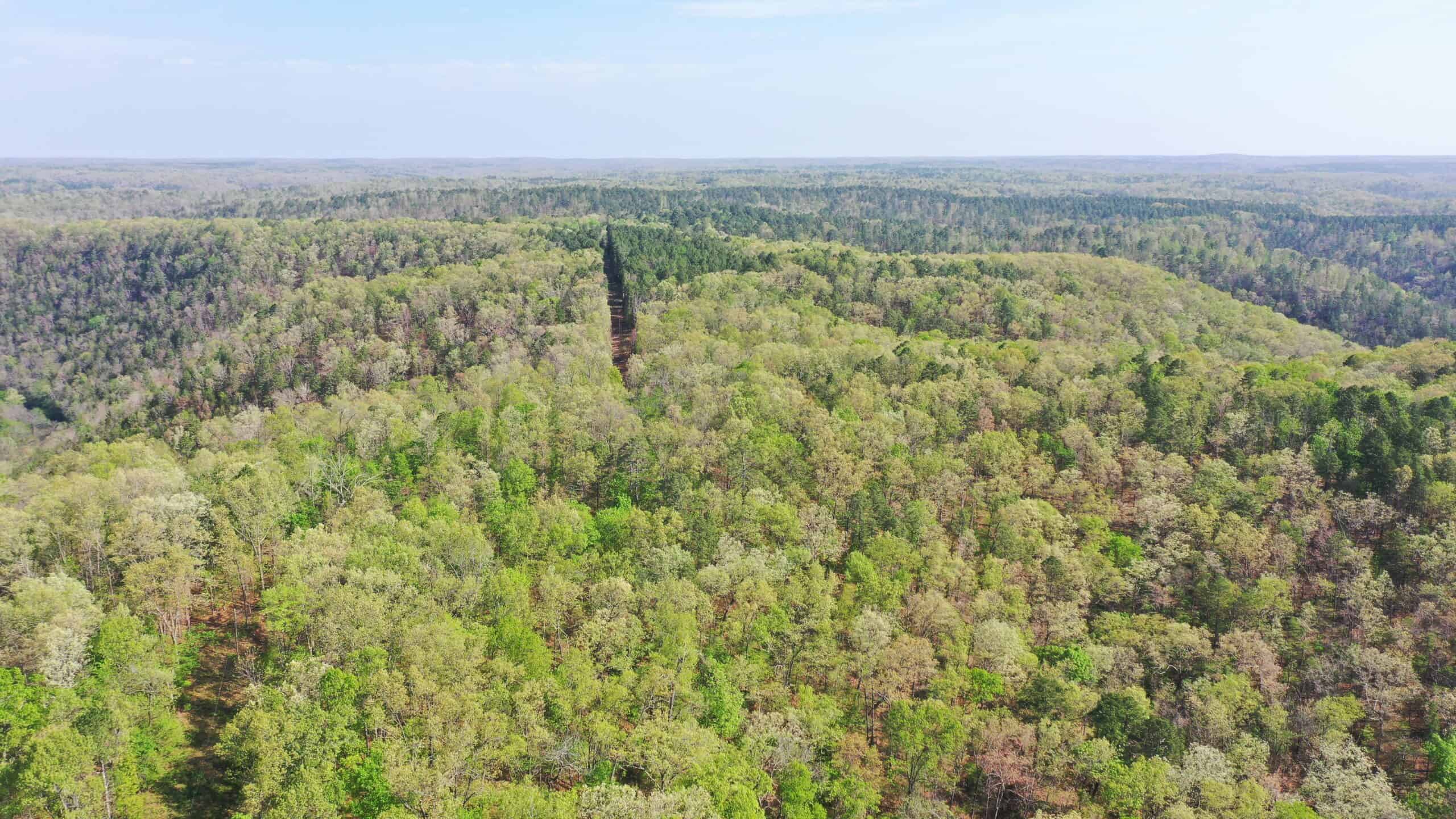 Land for Sale in the Missouri Ozark Mountains