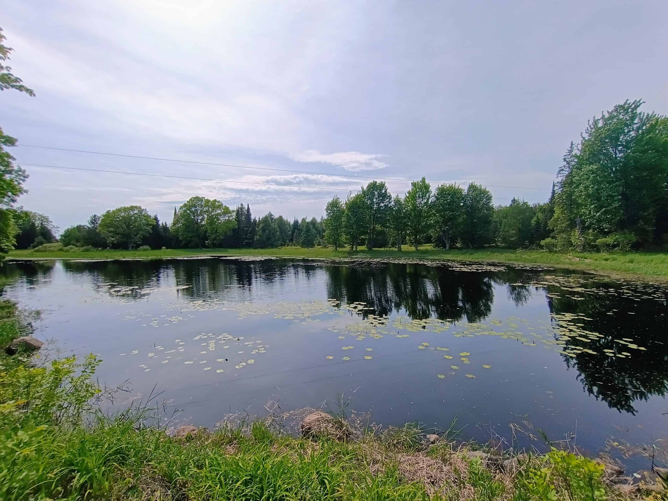 274 ± Acre Luxury Ranch & Hunting Estate | Butternut, WI