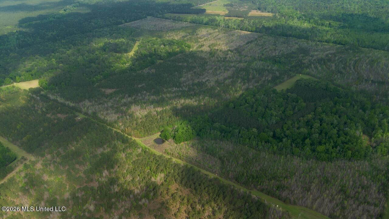 958± Acre High-Fence Ranch in Oakdale, Louisiana
