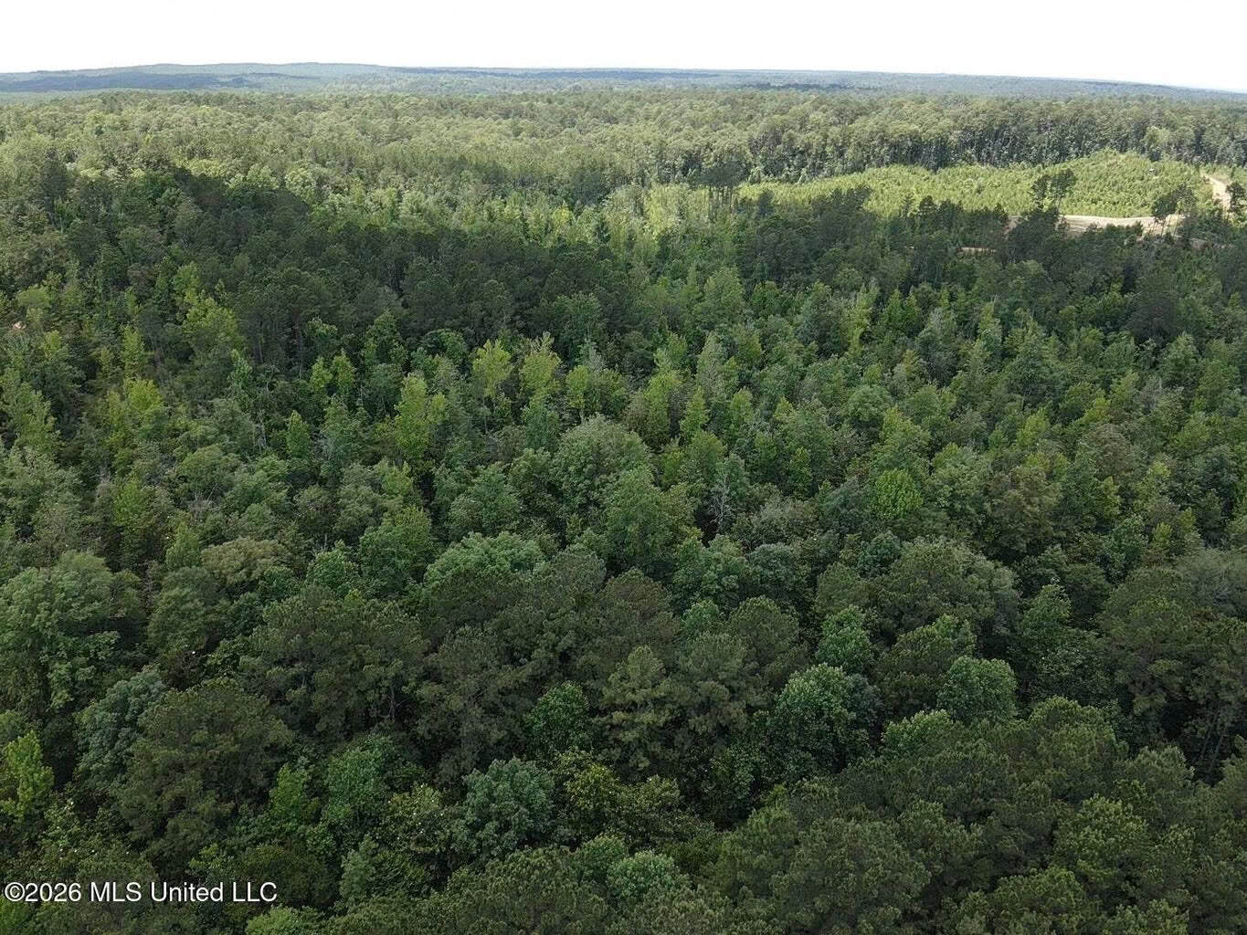 Wilkinson County MS Hunting Land for Sale