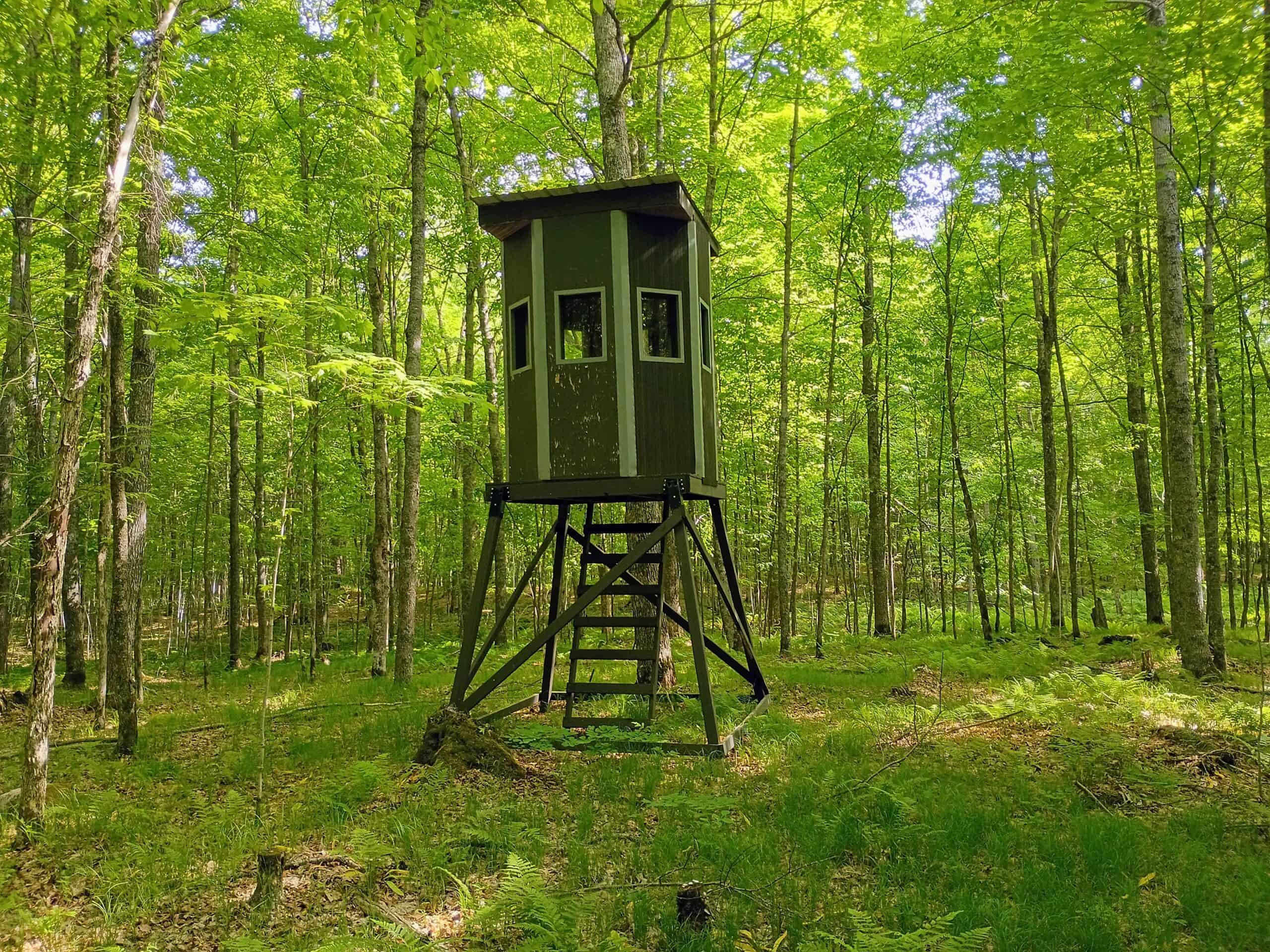 274 ± Acre Luxury Ranch & Hunting Estate | Butternut, WI