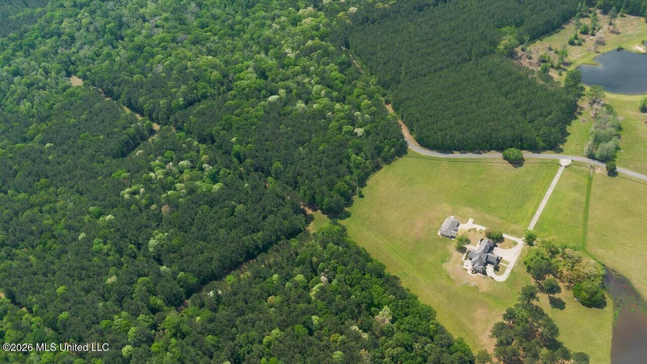 Paradise Whitetails in Oakdale, LA – 1,116± Acres