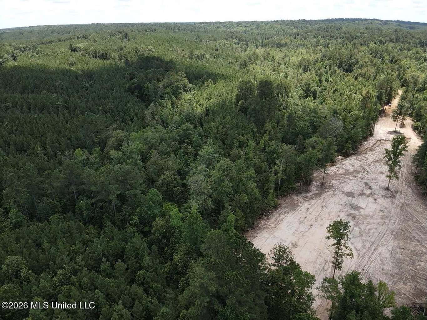 Wilkinson County MS Hunting Land for Sale