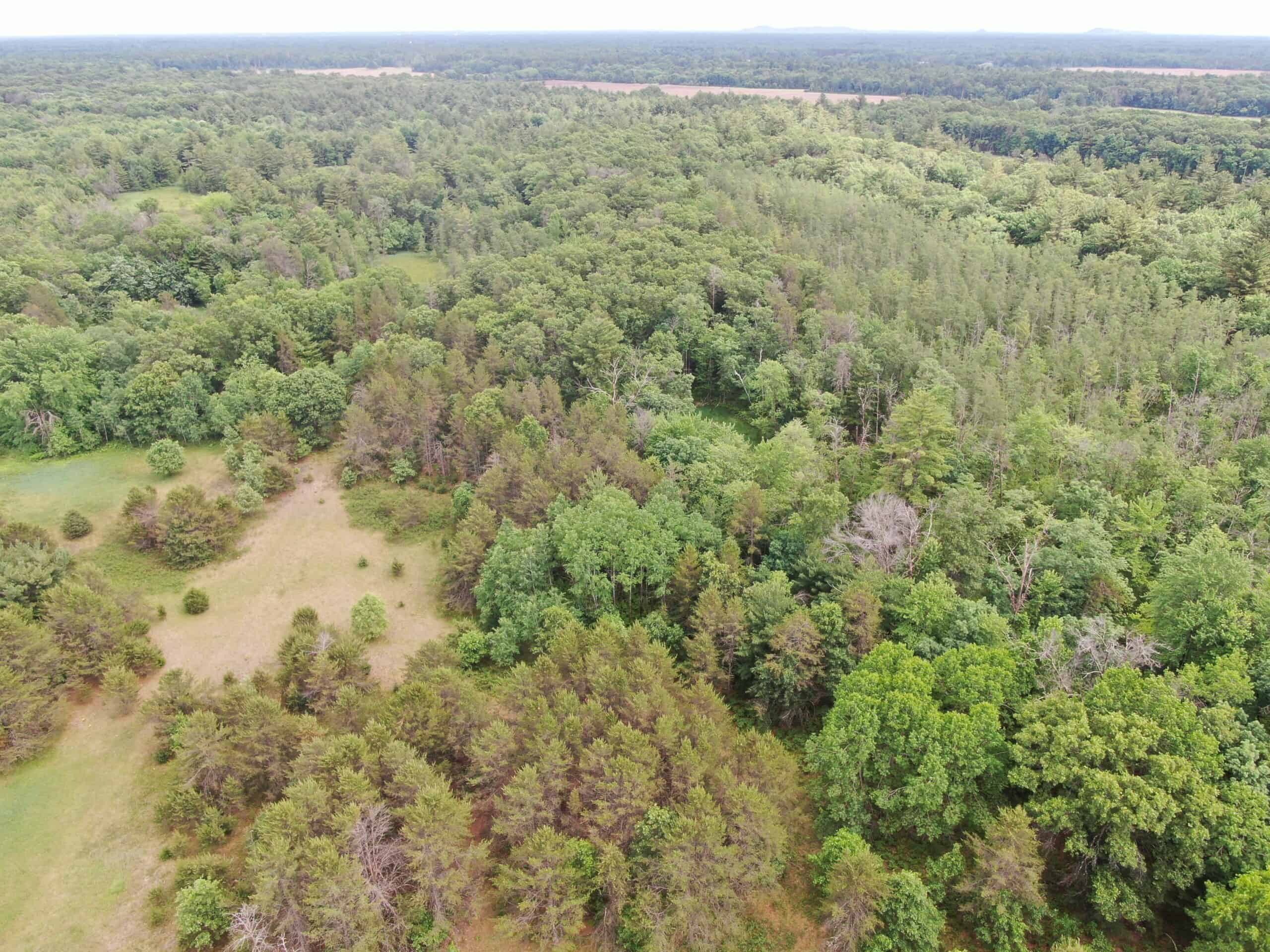 Forty acres in Adams County located in the Town of Strongs Prairie