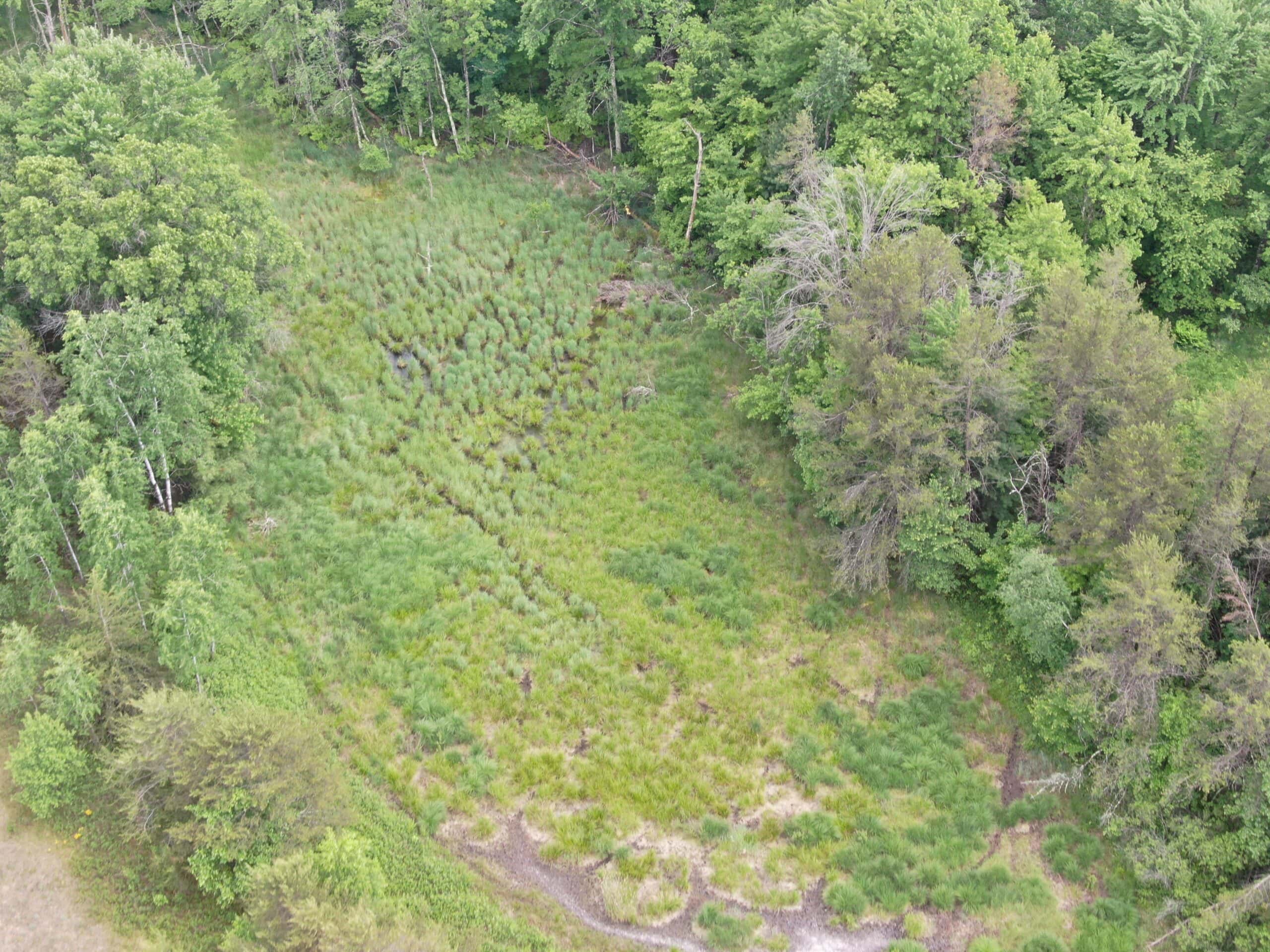 Forty acres in Adams County located in the Town of Strongs Prairie