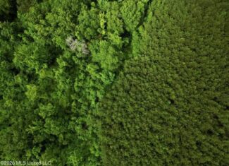 Land for Sale in Brookhaven, MS