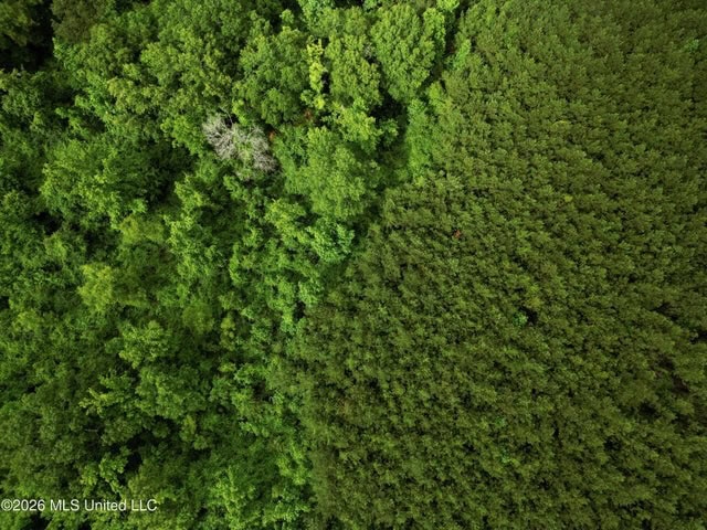 Land for Sale in Brookhaven, MS