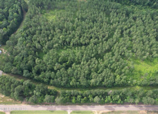 155 Acres Hunting Land for Sale in Centreville, MS