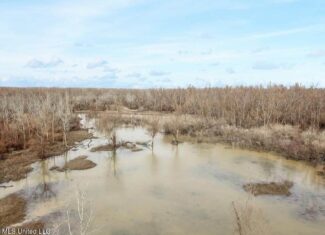 Jefferson County, MS Hunting Club Ownership Share