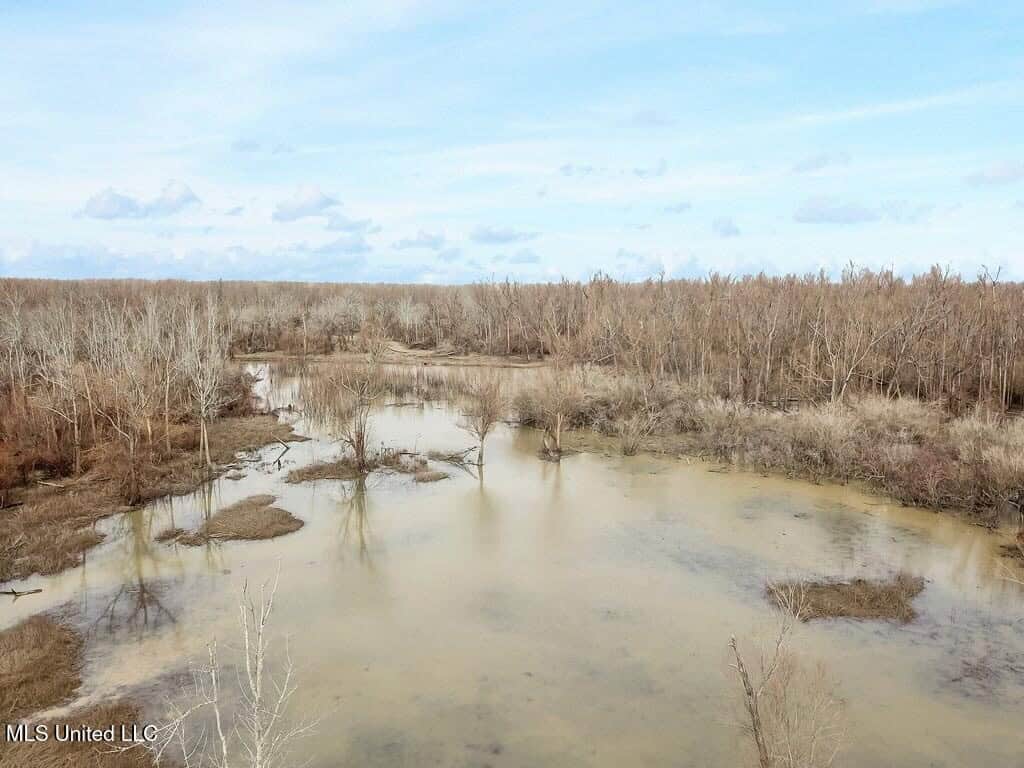 Jefferson County, MS Hunting Club Ownership Share