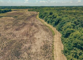527 Acres Black Belt Prairie Clay County MS