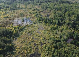 Chatham 72 – HARDWOOD TIMBER & HUNTING JACKSON PARISH LA